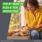 Frontline Plus Flea and Tick Treatment for Cats Over 1.5 Pounds 3 Topical Applications Fast-Acting Long-Lasting Protection