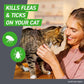 Frontline Plus Flea and Tick Treatment for Cats Over 1.5 lbs Waterproof 6 Dose Pack