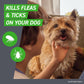 Frontline Plus Flea and Tick Treatment for Small Dogs 5 22 lbs 6 Monthly Treatments