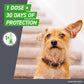 Frontline Plus Flea and Tick Treatment for Large Dogs 45–88 lbs 6 Monthly Doses