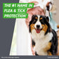 Frontline Plus Flea and Tick Treatment for Large Dogs 45–88 lbs 6 Monthly Doses