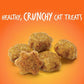 Fruitables Healthy Cat Treats, Crunchy Tuna & Pumpkin Flavor, 2.5 oz, Low-Calorie, Grain-Free Protein Snack for Cats