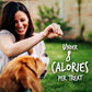 Fruitables Dog Treats 12 oz Pumpkin and Apple Flavor Low Calorie Healthy Snacks for Dogs White Pouch