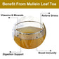 FullChea FullChea -Mullein Leaf Tea Bags, 20 Teabags, 3g/bag For Lungs - Non-GMO - Caffeine-free - Natural Healthy Herbal Tea For Detox And Respiratory Support