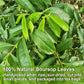 Fullchea Soursop Leaves Tea Bags, 40 Bags, Caffeine-Free, Supports Digestion & Skin Health