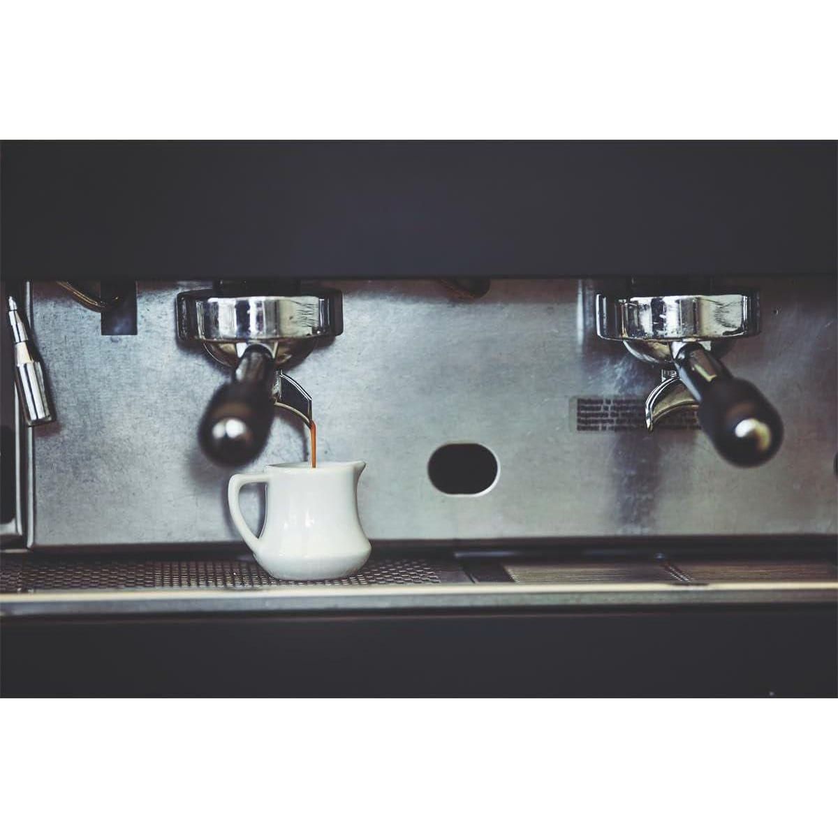 Gaggia Decalcifier Descaler Solution 250ml (2 Bottles),