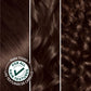 Garnier Garnier Hair Color Nutrisse Nourishing Creme, 40 Dark Brown (Dark Chocolate) Permanent Hair Dye, 1 Count (Packaging May Vary)