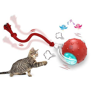 Giociv Interactive Cat Ball Toy Red Chirping Motion Activated Fast Rolling for Indoor Cats