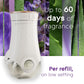 Glade Plugins Refill Air Freshener, Scented & Essential Oils for Home & Bathroom, Tranquil Lavender & Aloe, 335oz, 5 Count