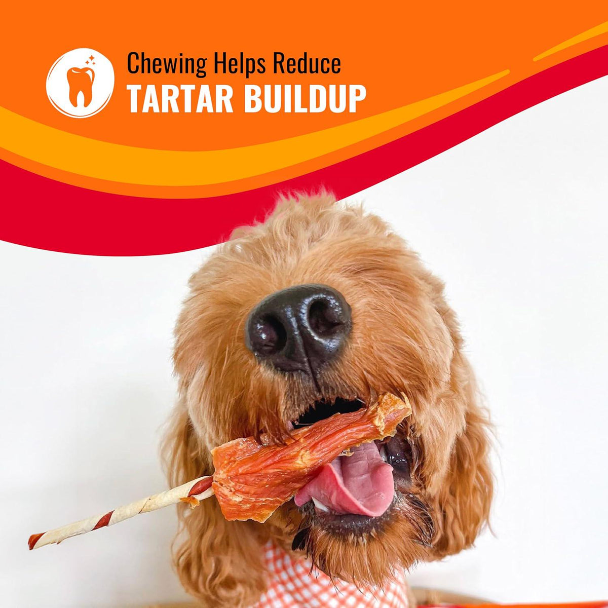 Good'N'Fun Triple Flavored Rawhide Kabobs For Dogs,Does not Apply