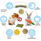 GRDDAEF Bunny Chew Toys 20 Pack for Small Pets Includes Apple Wood Grass Timothy Sticks Hamster Guinea Pig Treats