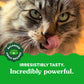 Greenies Dental Treats for Adult Cats, Savory Salmon Flavor, 21 oz Tub