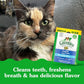 Greenies Dental Cat Treats Tempting Tuna Flavor Crunchy Snacks 4.6 oz Pack