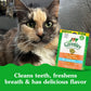 Greenies Feline Dental Cat Treats Oven Roasted Chicken Flavor 4.6 oz Pack for Adult Cats