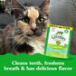 Greenies Dental Cat Treats Catnip Flavor Feline Adult Crunchy Snacks 4.6 oz