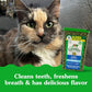 Greenies Dental Treats for Cats, Tempting Tuna Flavor, 21 oz Tub, Oral Health Support