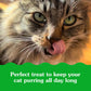 Greenies Feline Smartbites Chicken Flavor Healthy Indoor Cat Treats 16 oz Tub
