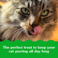Greenies Smartbites Indoor Cat Treats 16 oz Tub Tuna Flavor with Fiber Support for Hairball Control