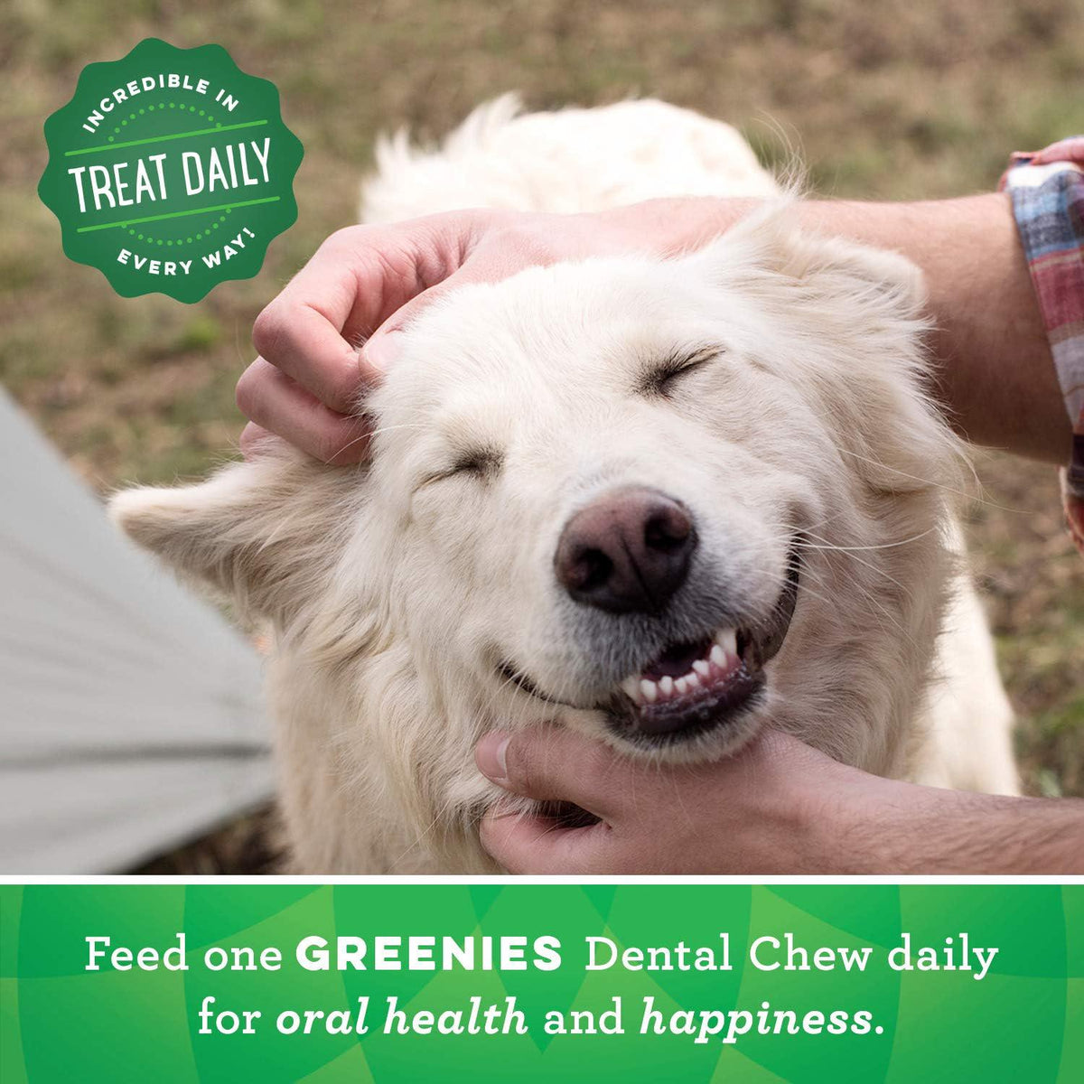 Greenies Original Petite Natural Dental Care Dog Treats, 18 Oz. Pack (30 Treats),