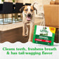 Greenies Original Dental Dog Treats Regular Size 54 Count 54 oz Helps Clean Teeth and Freshen Breath