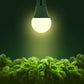 Grow Light Bulbs, Briignite LED Grow Light Bulb A19 Bulb, Full Spectrum Grow Light Bulb, Plant Light Bulbs E26 Base, 11W Grow Bulb 100W Equivalent, Grow Light For Indoor Plants, Seed Starting, 2Pack,713929565030