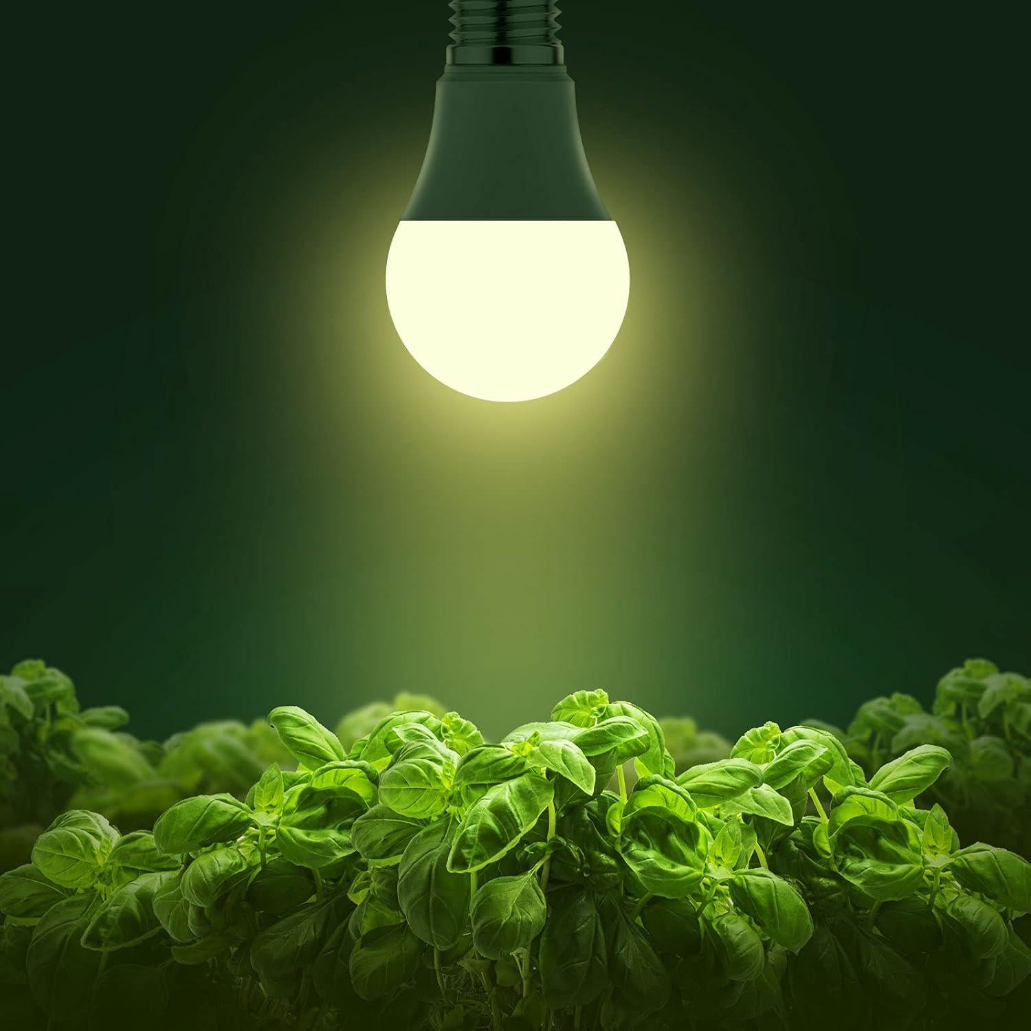 Grow Light Bulbs, Briignite LED Grow Light Bulb A19 Bulb, Full Spectrum Grow Light Bulb, Plant Light Bulbs E26 Base, 11W Grow Bulb 100W Equivalent, Grow Light For Indoor Plants, Seed Starting, 2Pack,713929565030