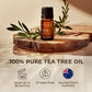 Gya Labs Gya Labs Australian Tea Tree Essential Oil For Skin - 0.34 Fl Oz - 100% Pure Natural Melaleuca Tea Tree Oil For Hair, Face, And Toenail, Piercings Scalp And Candle Making Scent