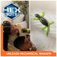 HexBots Wall Crawler Gecko RC Robot Toy Climbs Walls Rechargeable Remote Toy for Kids Age 4 and Up