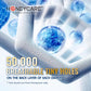 Honey Care All Absorb Male Dog Wraps 50 Count Small Disposable Puppy Diapers Leak Protection