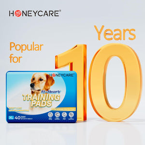 Honey Care All Absorb Training Pads 28 x 34 Inches Extra Large 40 Count 5 Layer Leakproof Potty Pads for Dogs