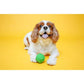 Hartz DuraPlay Ball Squeaky Latex Dog Toy Medium Size Pack of 3 Durable Soft Chew Balls for Dogs