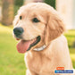 Hartz UltraGuard Plus Flea & Tick Collar for Dogs, 1 Pc, Long-Lasting Protection, Adjustable Fit