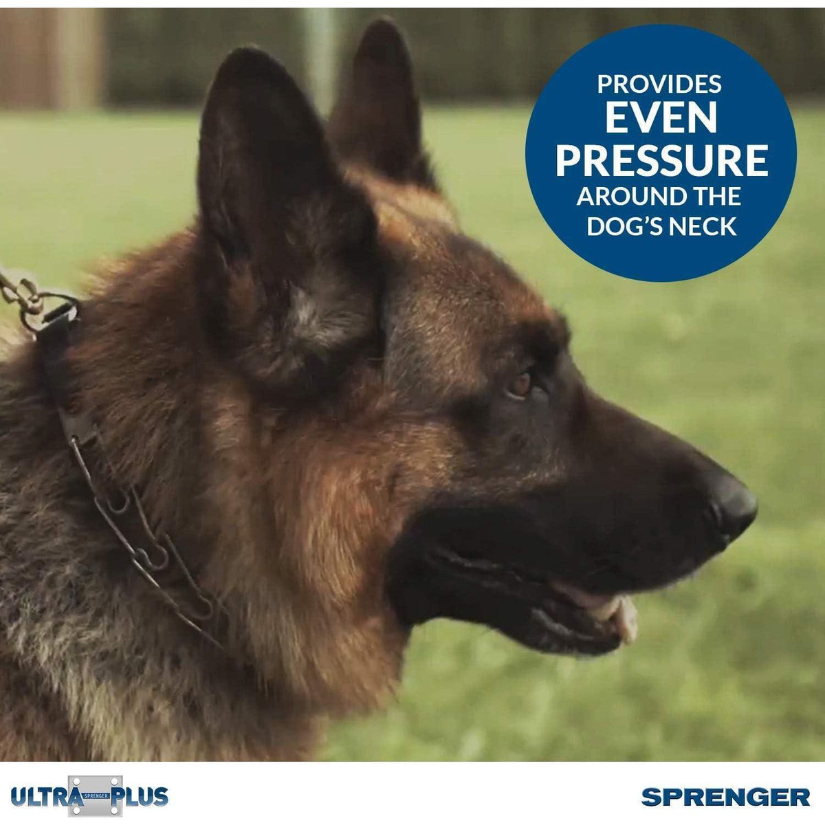 Herm Sprenger Pet Supply Imports Chrome Plated Training Collar With Quick Release Snap For Dogs, Medium, 3.0mm, 21-Inch,