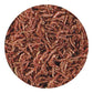 Hikari Bio-Pure Freeze-Dried Blood Worms, 0.42 oz, Nutrient-Rich Fish Food for Freshwater & Marine Pets