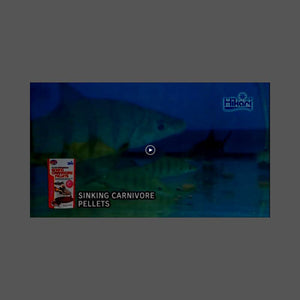 Hikari Sinking Carnivore Pellets, 2.61 oz, 1 Pack, High Protein Fish Food for Pets, Sinks Fast, Clean Feeding