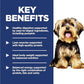 Hill's Science Diet Small Mini Breed Dry Dog Food 4.5 lb Lamb and Brown Rice Recipe for Adult Dogs