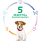 Hill's Science Diet Puppy Small Kibble Dry Dog Food Chicken and Brown Rice 4.5 lb Bag
