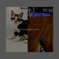 HOAOoo Dog Training Clicker, Black + Blue with Wrist Strap, Clicker for Obedience and Puppy Training