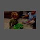 Hoperock Whack A Frog Toy for Kids Ages 2–5, Light-Up Game with 5 Modes, Music & Spray Effects