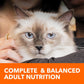 Iams Adult Cat Food Proactive Health Urinary Tract Health Formula Chicken 7 lb Dry Bag