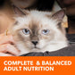 IAMS Proactive Health Adult Dry Cat Food, Sensitive Digestion & Skin, Turkey Recipe, 6 lb Bag
