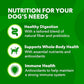 IAMS Minichunks Adult Dog Food, 7 lb Bag, Chicken & Whole Grains, Proactive Health Dry Kibble