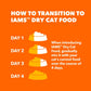 IAMS Proactive Health Adult Dry Cat Food, Sensitive Digestion & Skin, Turkey Recipe, 6 lb Bag