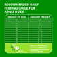 Iams MiniChunks Adult Dry Dog Food with Lamb and Rice 30 lb Bag Supports Strong Muscles and Healthy Digestion