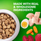 Iams Large Breed Senior Dog Food 30 lb Bag Real Chicken Recipe Proactive Health Formula for Healthy Aging Dogs