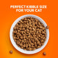 IAMS Proactive Health Adult Cat Food for Sensitive Digestion and Skin with Turkey 13 lb Bag