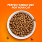 IAMS Indoor Hairball Control Cat Food 7 lb Chicken and Turkey for Adult Cats Weight Maintenance