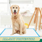 Immcute Puppy Pee Pads, 100 Ct, 22x23", Super Absorbent Disposable Training Pads for Puppies, Dogs & Pets