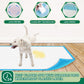 Immcute Puppy Pee Pads, 100 Ct, 22x23", Super Absorbent Disposable Training Pads for Puppies, Dogs & Pets