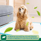 Immcute Puppy Pee Pads, 100 Ct, 22x23", Super Absorbent Disposable Training Pads for Puppies, Dogs & Pets